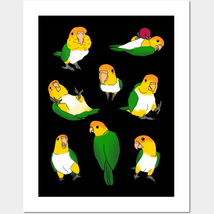 caique doodle pattern Posters and Art